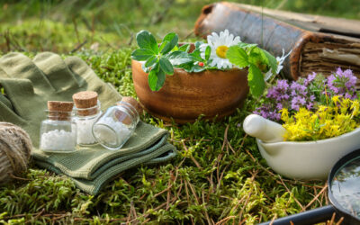 Herbal Remedies: Nature’s Medicine Cabinet